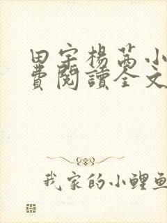 田宇杨茜小说免费阅读全文最新章节