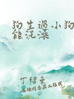 狗生过小狗多久能洗澡