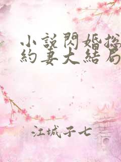 小说闪婚总裁契约妻大结局