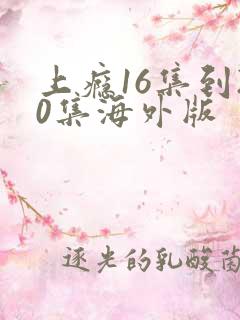 上瘾16集到20集海外版