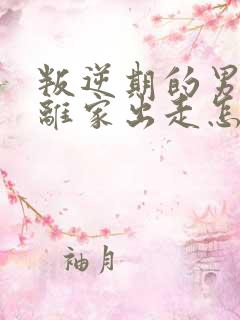 叛逆期的男孩子离家出走怎么去引导初中生
