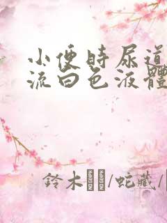 小便时尿道刺痛流白色液体