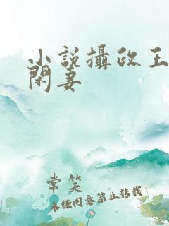 小说摄政王的小闲妻