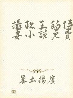 摄政王的侍爱逃妻小说免费阅读