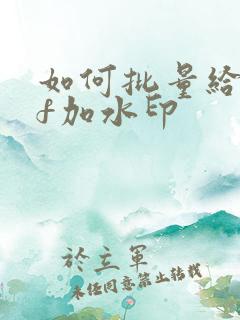 如何批量给pdf加水印