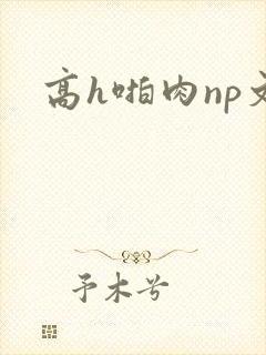 高h啪肉np文