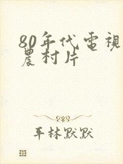 80年代电视剧农村片