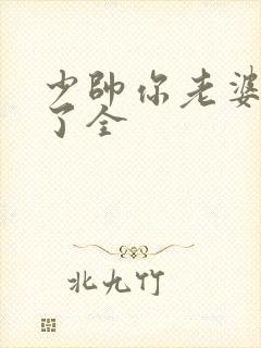 少帅你老婆又跑了全