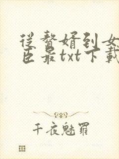 从赘婿到女帝宠臣最txt下载
