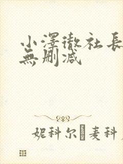 小泽彻社长秘书无删减