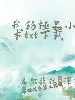 我的极品小姨全本txt下载