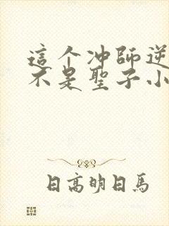 这个冲师逆徒才不是圣子小说