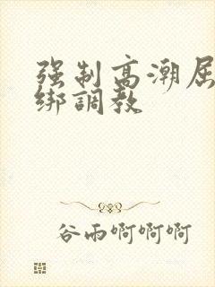强制高潮屈辱捆绑调教