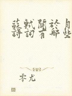 苏轼关于月亮的诗词有哪些