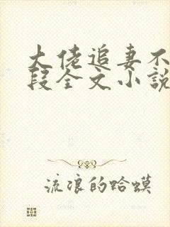 大佬追妻不择手段全文小说阅读全文