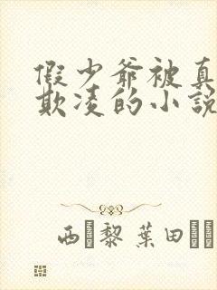 假少爷被真少爷欺凌的小说