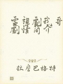 电视剧我哥我嫂剧情简介