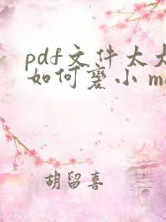 pdf文件太大如何变小 mac