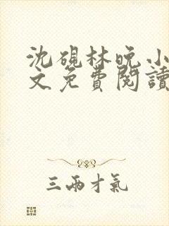 沈砚林晚小说全文免费阅读