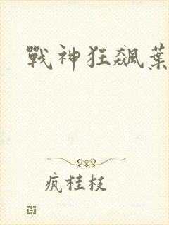 战神狂飙叶无缺