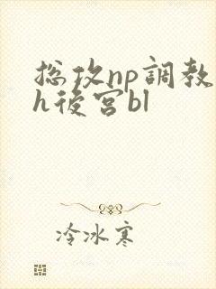 总攻np调教高h后宫bl