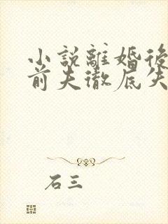 小说离婚后豪门前夫彻底失了控好看么