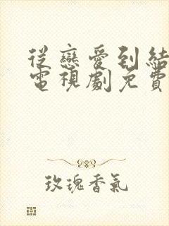 从恋爱到结婚的电视剧免费观看