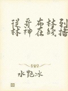 从哥布林到哥布林神在线播放
