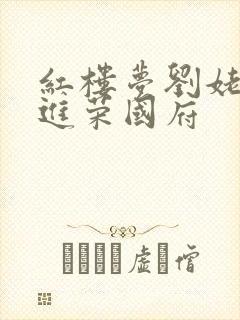 红楼梦刘姥姥二进荣国府