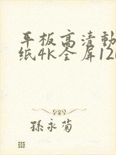 平板高清动态壁纸4k全屏120帧