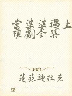 当婆婆遇上妈电视剧全集