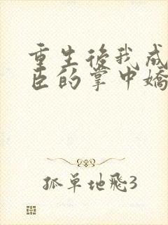 重生后我成了权臣的掌中娇全