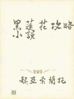 黑莲花攻略手册小说