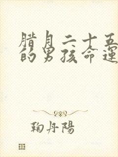 腊月二十五出生的男孩命运