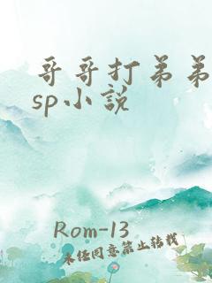 哥哥打弟弟屁股sp小说