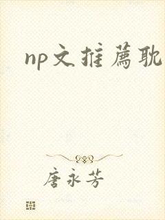 np文推荐耽