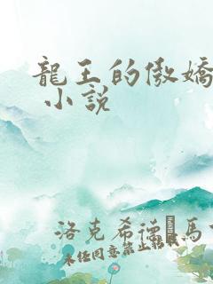 龙王的傲娇日常 小说