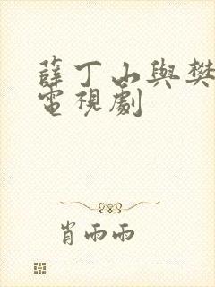 薛丁山与樊梨花电视剧
