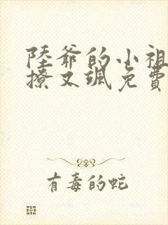 陆爷的小祖宗又撩又飒免费阅读