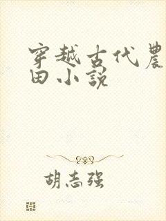 穿越古代农村种田小说