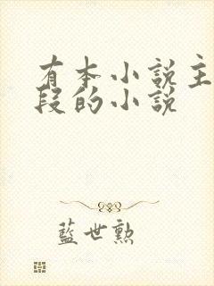 有本小说主角姓段的小说