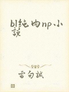 bl纯肉np小说