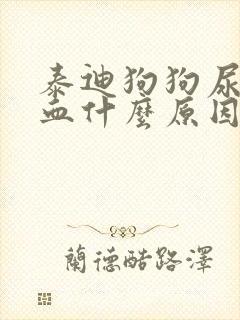 泰迪狗狗尿里带血什么原因