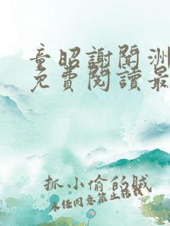 童昭谢闻洲小说免费阅读最新章节