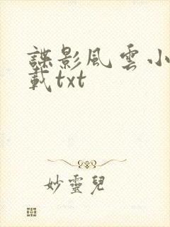 谍影风云小说下载txt