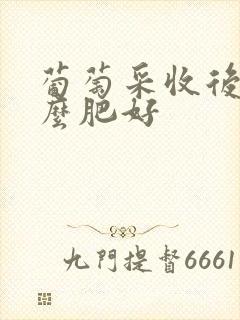 葡萄采收后施什么肥好