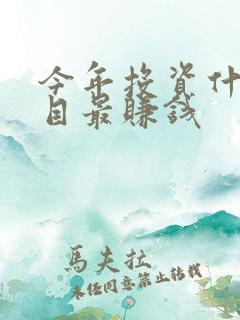 今年投资什么项目最赚钱