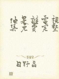 他是谁电视剧全集免费完整版