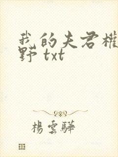 我的夫君权倾朝野 txt