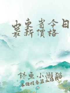 山东省今日玉米最新价格